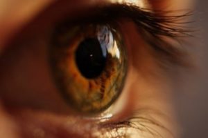 6 Dinge die du über Wimpern noch nicht wusstest – Beautinda Blog
