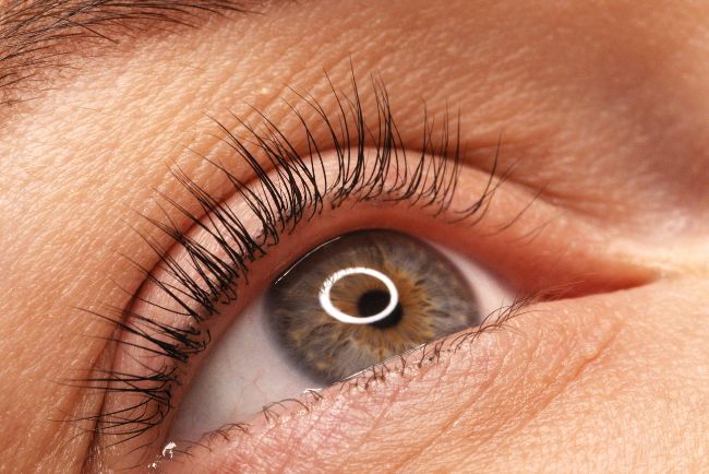 Lash-Lifting Schulung